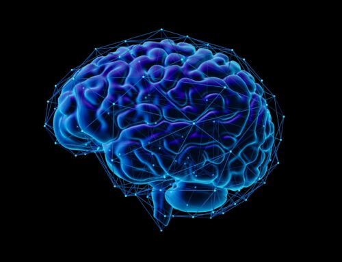 Cuáles son los desafíos que enfrenta la ciencia para descifrar la mente