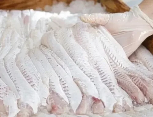 Salud refuerza controles por venta de pescado