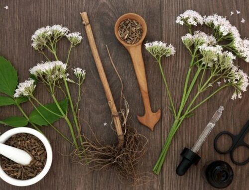 Valeriana para el insomnio: ¿funciona realmente?