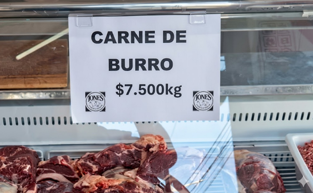 Interior de carnicería con cartelería de venta de carne de burro en la Patagonia argentina.