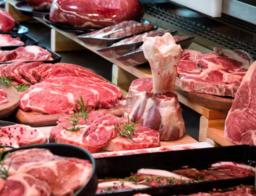 Carne de burro en Argentina: ¿Qué beneficios nutricionales tiene y por qué es ilegal su venta?