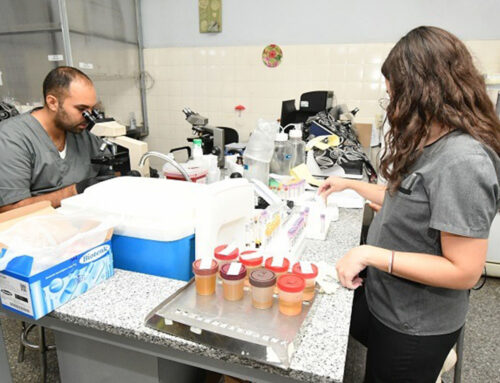 San Juan: el Gobierno dispuso que haya atención sanitaria las 24 horas en 15 hospitales más