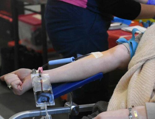 Donación de sangre: el IPHEM amplía colectas y habrá una jornada en el Parque de Mayo