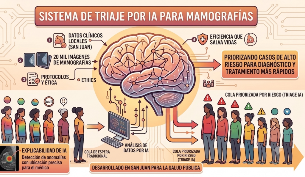 Infografía institucional sobre el "Sistema de triaje por IA para mamografías" desarrollado en San Juan para la salud pública. En el centro, se destaca la ilustración de un cerebro conectado de forma digital a una computadora que realiza el "Análisis de datos por IA". A la izquierda, se detalla el ingreso del proceso con tres pasos numerados: 1. Datos clínicos locales de San Juan, 2. 20 mil imágenes de mamografías, y 3. Protocolos y ética; además de un recuadro sobre la "Explicabilidad de IA" para la detección de anomalías con ubicación precisa. En la esquina superior derecha, el punto 4 destaca la "Eficiencia que salva vidas". En la parte inferior, se compara de forma visual una "Cola de espera tradicional" (representada por mujeres en fila con un indicador de espera prolongada) versus una "Cola priorizada por riesgo - Triage IA" (donde las mujeres son clasificadas con íconos de alerta según su nivel de riesgo), bajo el lema principal de "Priorizando casos de alto riesgo para diagnóstico y tratamiento más rápidos".