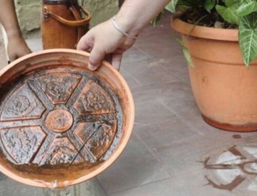 Dengue: medidas de prevención para eliminar criaderos de mosquitos
